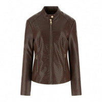 Claudine Biker Dark Coffee  GUESS