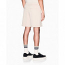 SHORTS ISLAND FOSSIL  AF20169