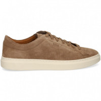 Deportivo ante Beige  HUGO BOSS