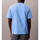 Camiseta Calvin Klein varsity badge celeste