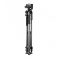 Soporte Trípode para Cámaras Green Lyca 170 cm