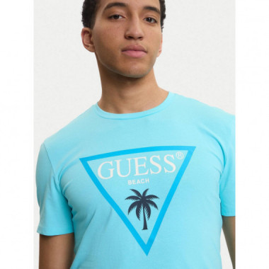 SS CN NEW TRIANGLE PALM TEE SALTY BLUE
