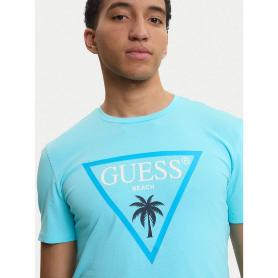 SS CN NEW TRIANGLE PALM TEE SALTY BLUE