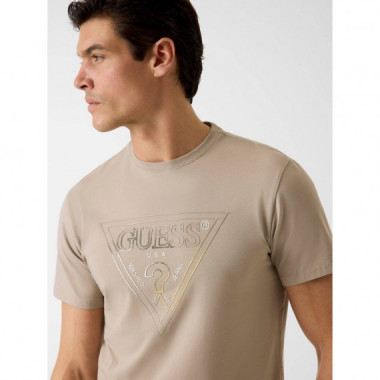 CN SS TRIANGLE HD MULTICOLOR T PASADENA