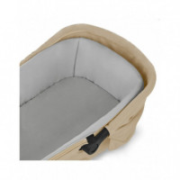 Trio Kombo Be Rock  BECOOL