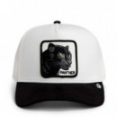 Gorra Suede Black Panther