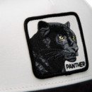 Gorra Suede Black Panther