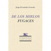 de los Mirlos Fugaces   2025