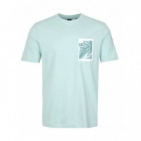 BOSS - Te_board - 446 - 50561853/446