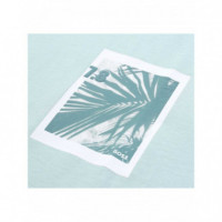 BOSS - Te_board - 446 - 50561853/446