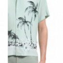 BOSS - Rayer_M - 446 - 50559632/446