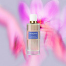 Overdose Aphrodisiaque