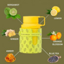 Odyssey Limoni Fresh