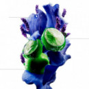 Scalp Advanced Champú Anti Malestar