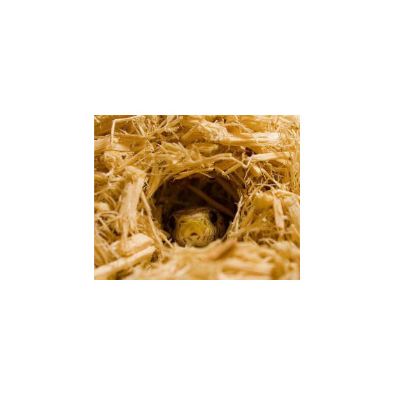 ZOOMED Reptil Sustrato Aspen 4.4 L