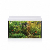 ICA Kit Interior Aqualed 20 Blanco