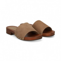 Pala Antelina Beige  EXE