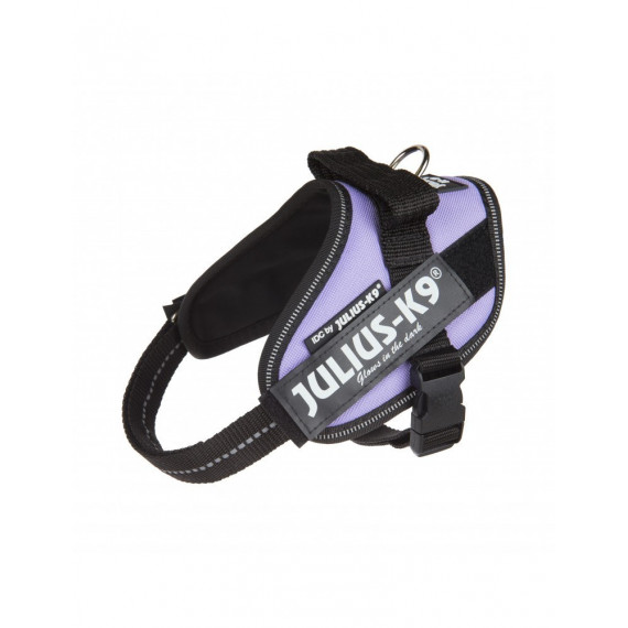 JULIUS K9 Idc Lila Talla 0 58-76 Cm