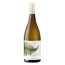 Fento Albariño 2025 - 75CL  FENTO WINES