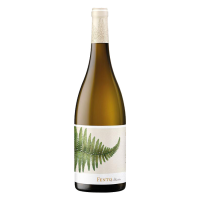 Fento Albariño 2025 - 75CL  FENTO WINES