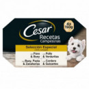 Cesar Tarrina Multipack Cordero y Guisan  MARS