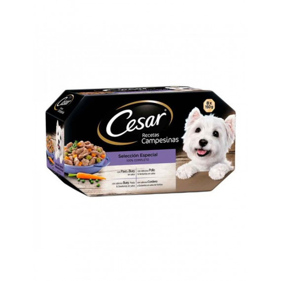 Cesar Tarrina Multipack Campes 8*150 Gr  MARS