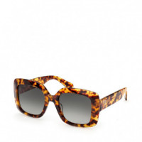 Gafas de Sol MO0153  MAX&CO