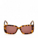 Gafas de Sol MO0162  MAX&CO