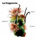 Expert Absolut Repair Mini Trio Estuche