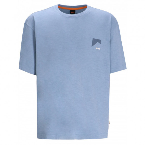 BOSS - Te_polar - 451 - 50551471/451