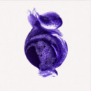 Nº.4P Blonde Enhancer
champú Tonificante  OLAPLEX