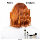 Metal Detox - Máscara Protectora  LOREAL PROFESSIONNEL