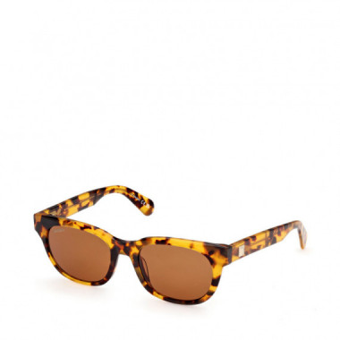 Gafas de Sol MO0163  MAX&CO