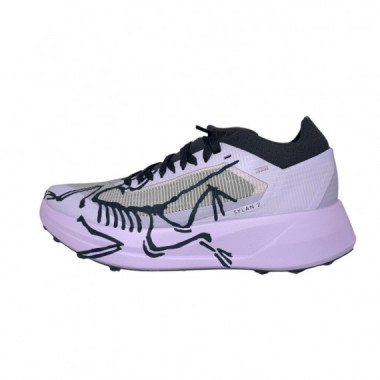 Arc&acute;teryx Sylan 2