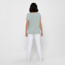 Only 15206243-3562253