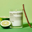 Bergamot Candle
Vela Arómatica