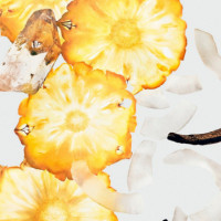 Silky Coconut  CALVIN KLEIN