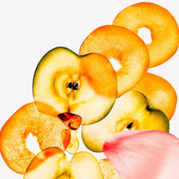 Sheer Peach  CALVIN KLEIN