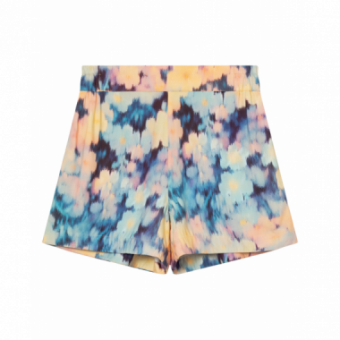Bermudas Shorts DEDICATED Aspudden Ikat Field Multi Color