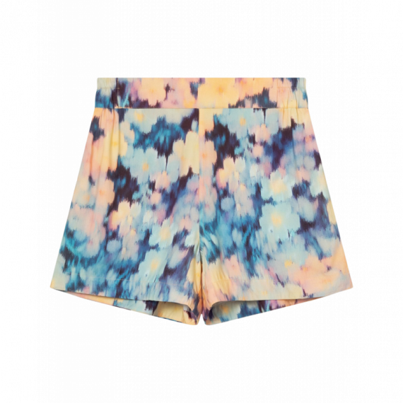 Bermudas Shorts DEDICATED Aspudden Ikat Field Multi Color