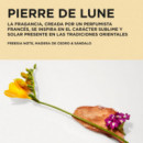 Elixir Ultime Spring Estuche  KÉRASTASE