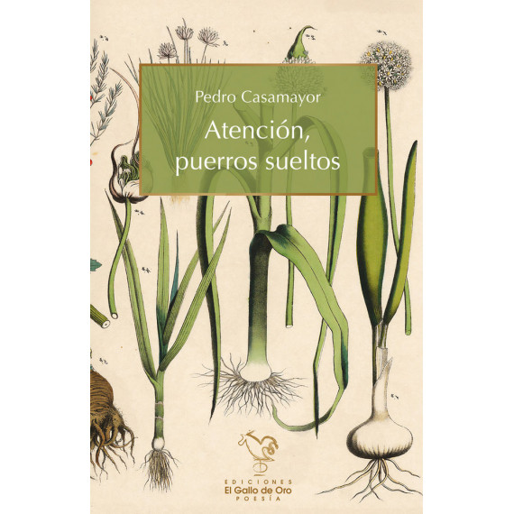 Atencin, puerros sueltos