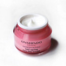 Nadeshikoiro Anti-ageing Face Day Cream Normal To Combination Skin  ONSHINDO