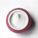 Nadeshikoiro Anti-ageing Rich Face Day Cream Dry Skin  ONSHINDO