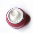 Nadeshikoiro Anti-ageing Light Force Face Night Cream Norm/comb Skin  ONSHINDO