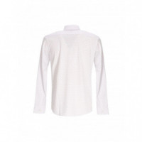 BOSS - P-ROAN-K-F-261 - 373 - 50557108/373