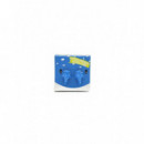 Pendientes Animales Marinos  SCUBA GIFTS