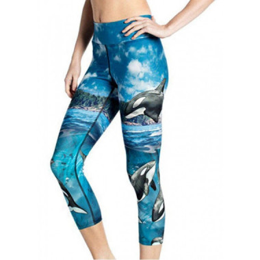Leggin ballena