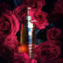 Forbidden Rose