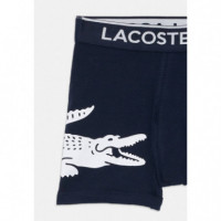 Lchb 3PK Graphic Boxer Briefs Marine  LACOSTE